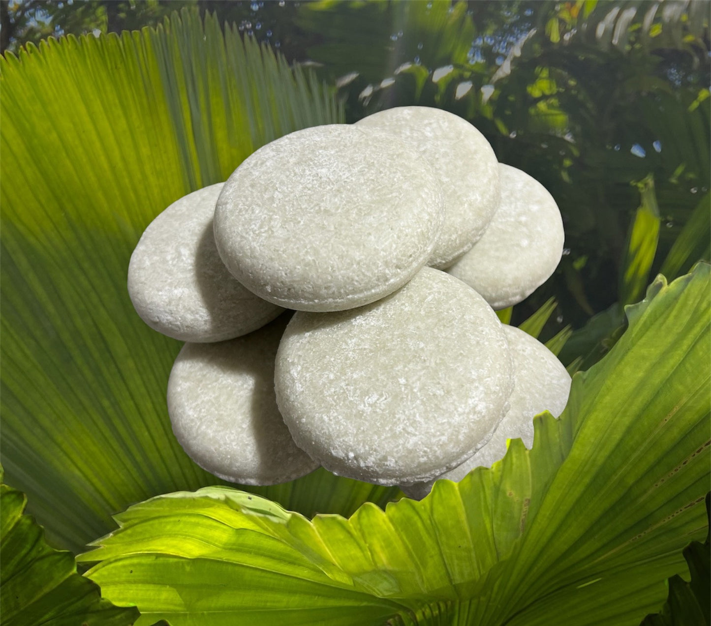 NEW! Organic All Natural Shampoo Bars