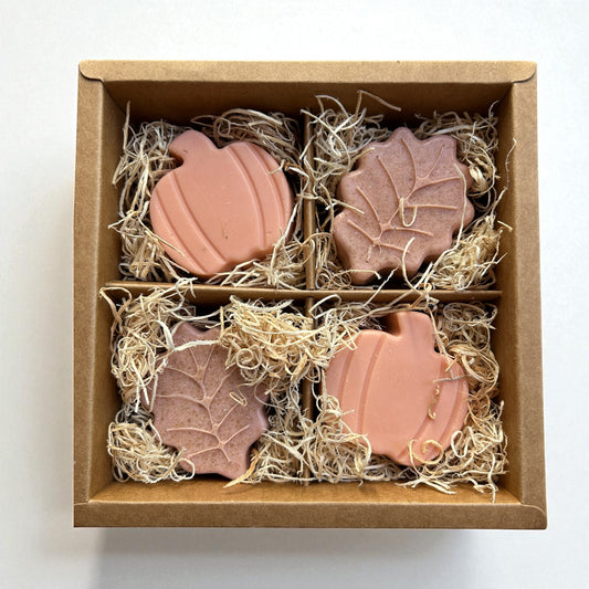 **NEW** 4 Pack Fall Goats Milk Bar Soap - Pumpkin & Apple Cider Scented