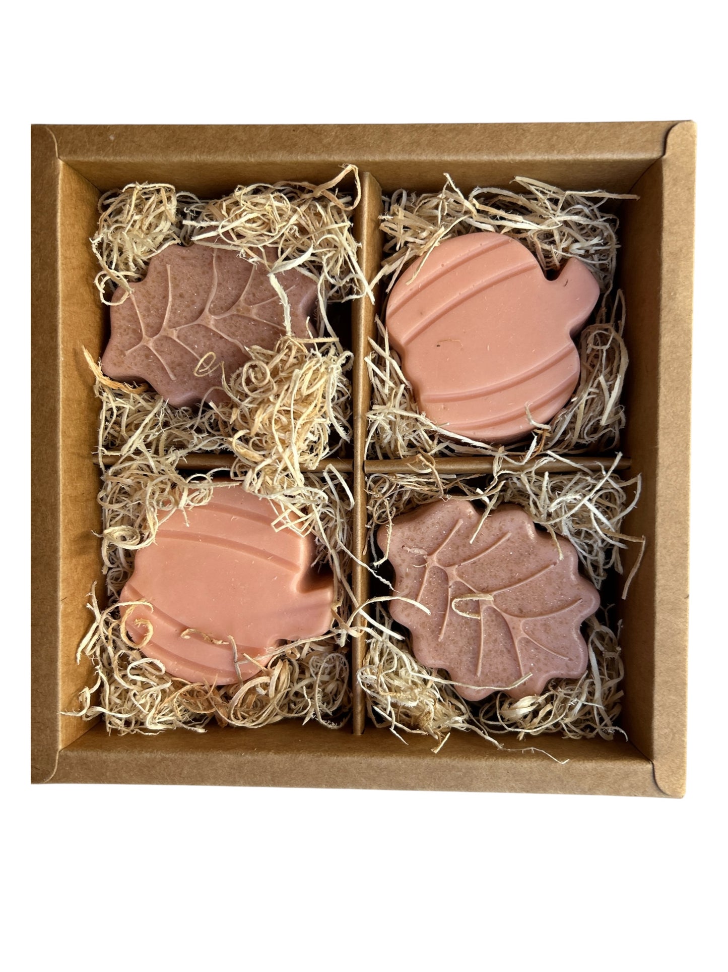 **NEW** 4 Pack Fall Goats Milk Bar Soap - Pumpkin & Apple Cider Scented