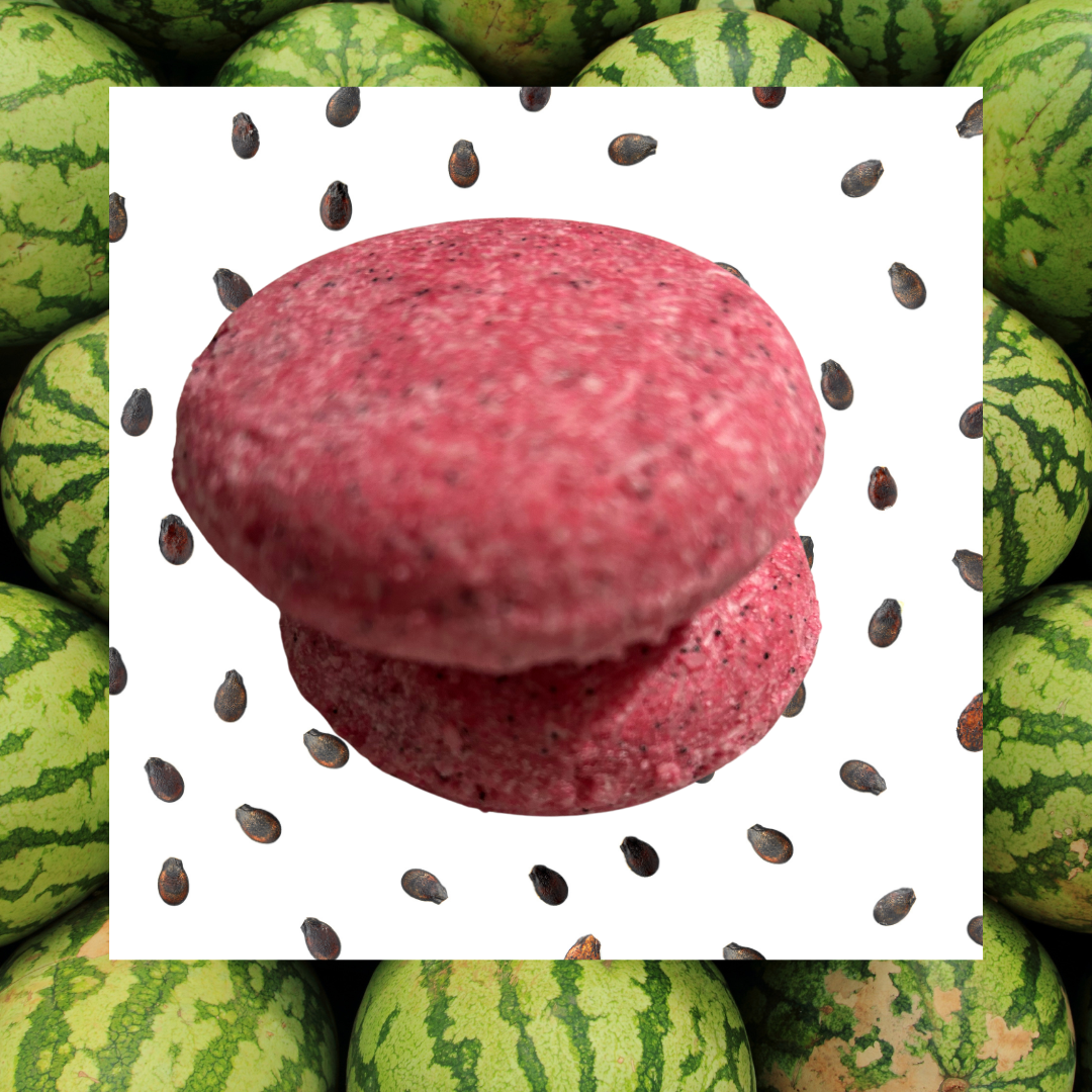 NEW! Organic All Natural Shampoo Bars